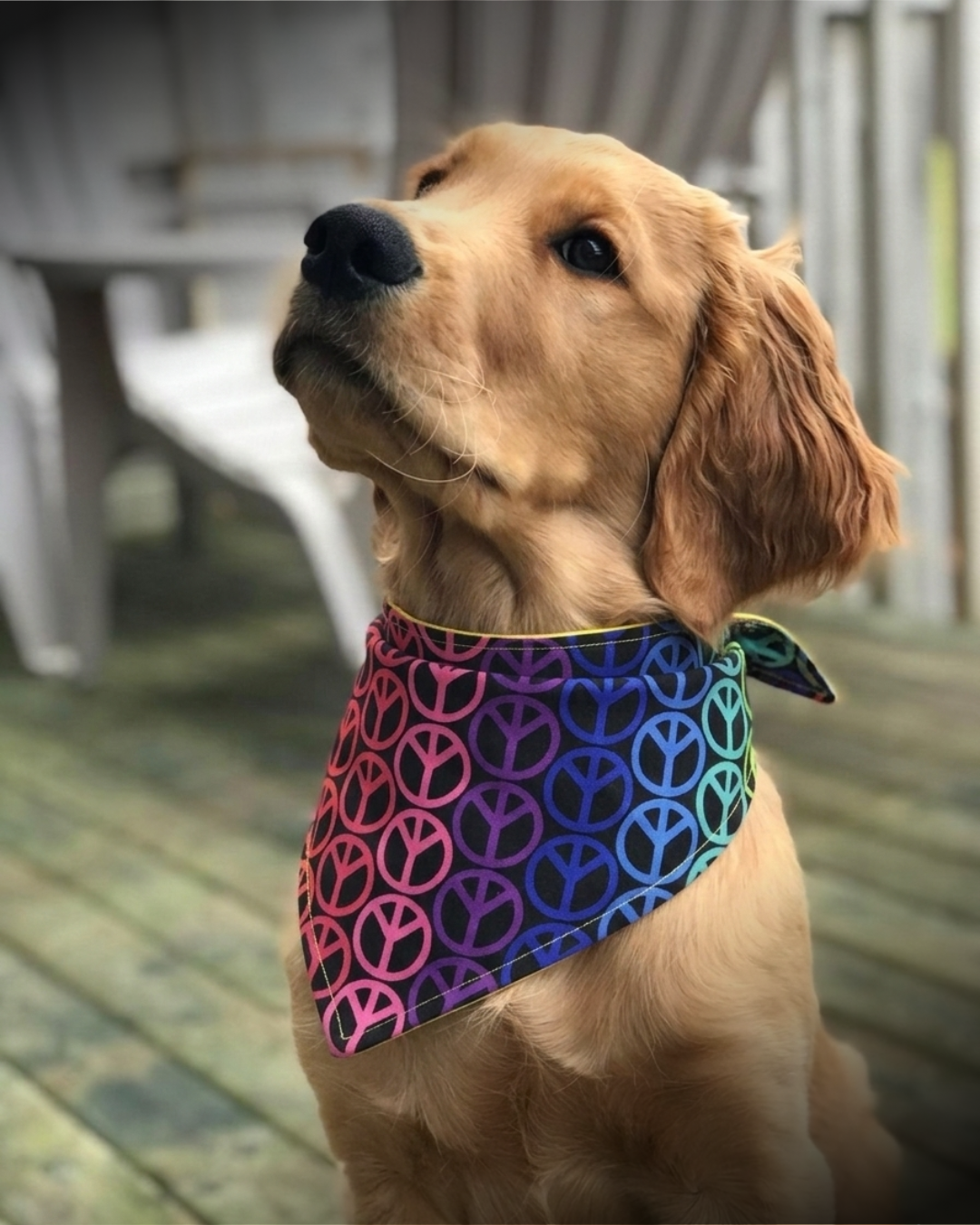 Bandanas simple