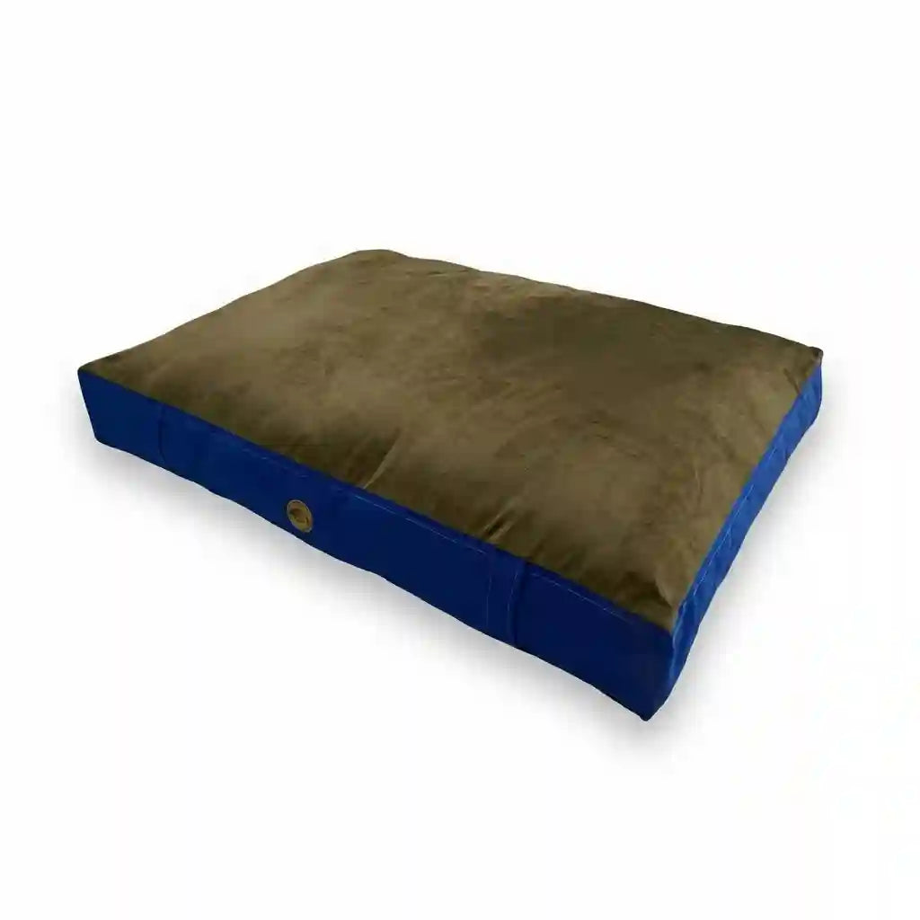 Cama DREAM - Azul reycamas-para-perro