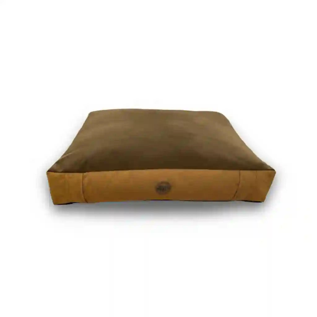Cama DREAM - Mostazacamas-para-perro
