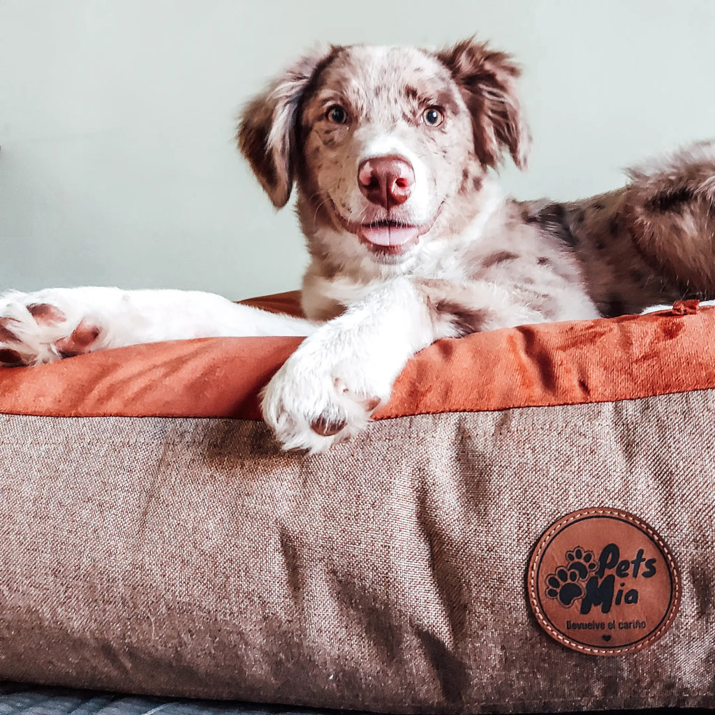 Cama DREAM - Beigecamas-para-perro