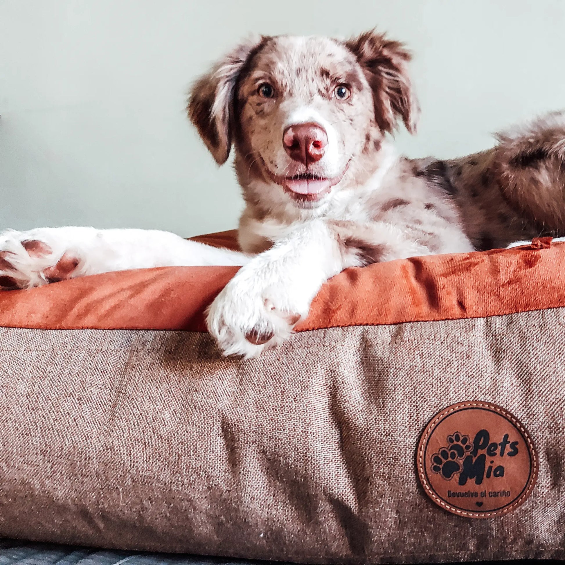 Cama DREAM - Beigecamas-para-perro