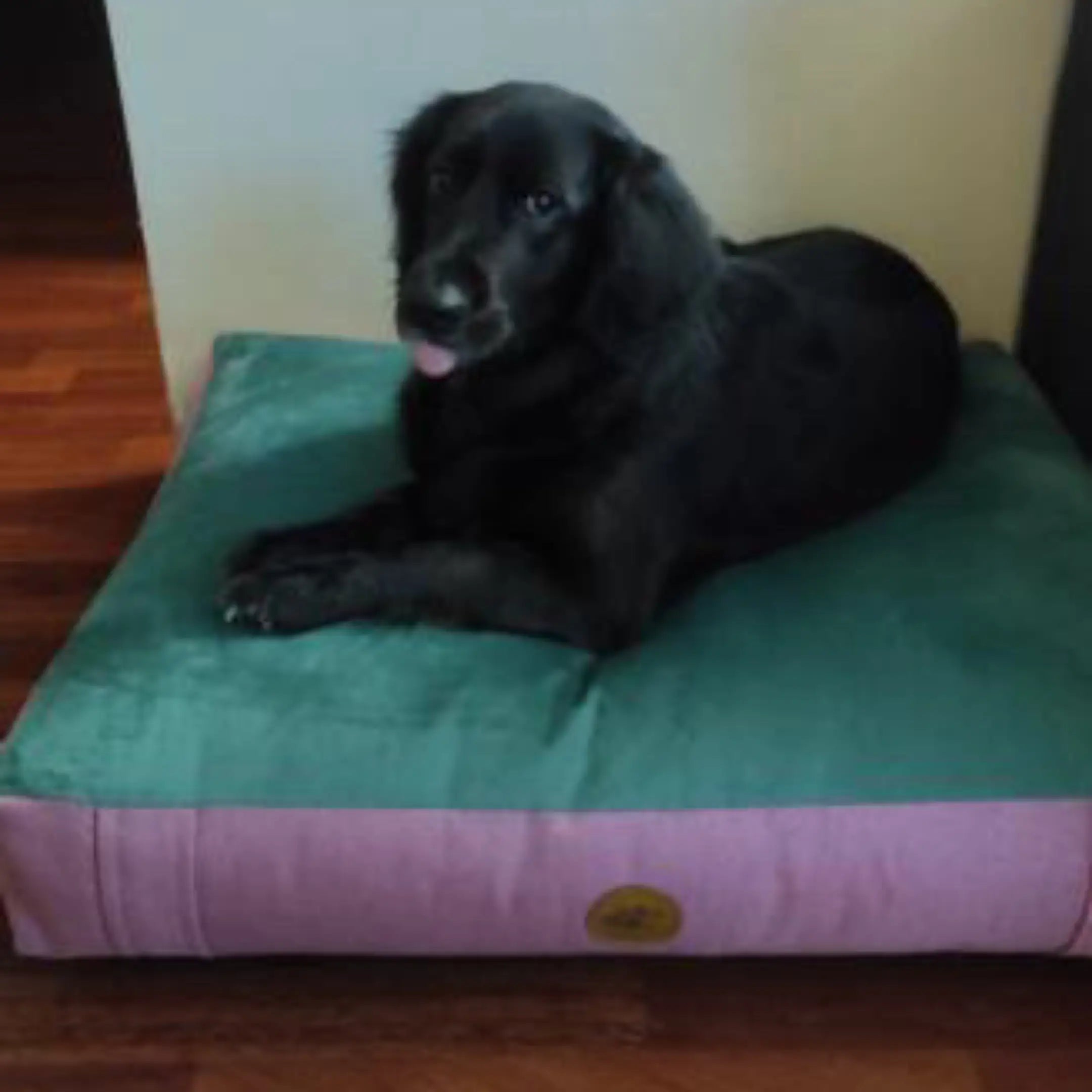 Cama DREAM - Fucsiacamas-para-perro